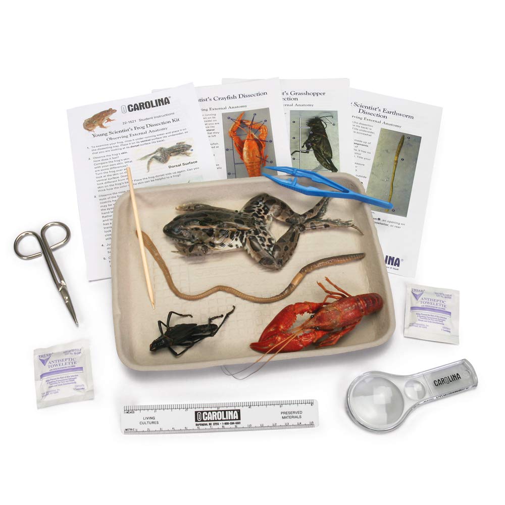 Young Scientist's Animal Dissection Kit - Hands-On Introduction to Animal Anatomy | Ideal for Middle and High School Students