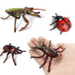 Odowalker 8 Pcs Lifelike Assorted Plastic Insects Bugs Figures Model
