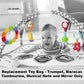 Replacement Toys for Fisher-Price Baby's Bandstand Play Gym - DFP69 ~ Replacement Trumpet, Maracas, Tambourine, Musical Note and Mirror