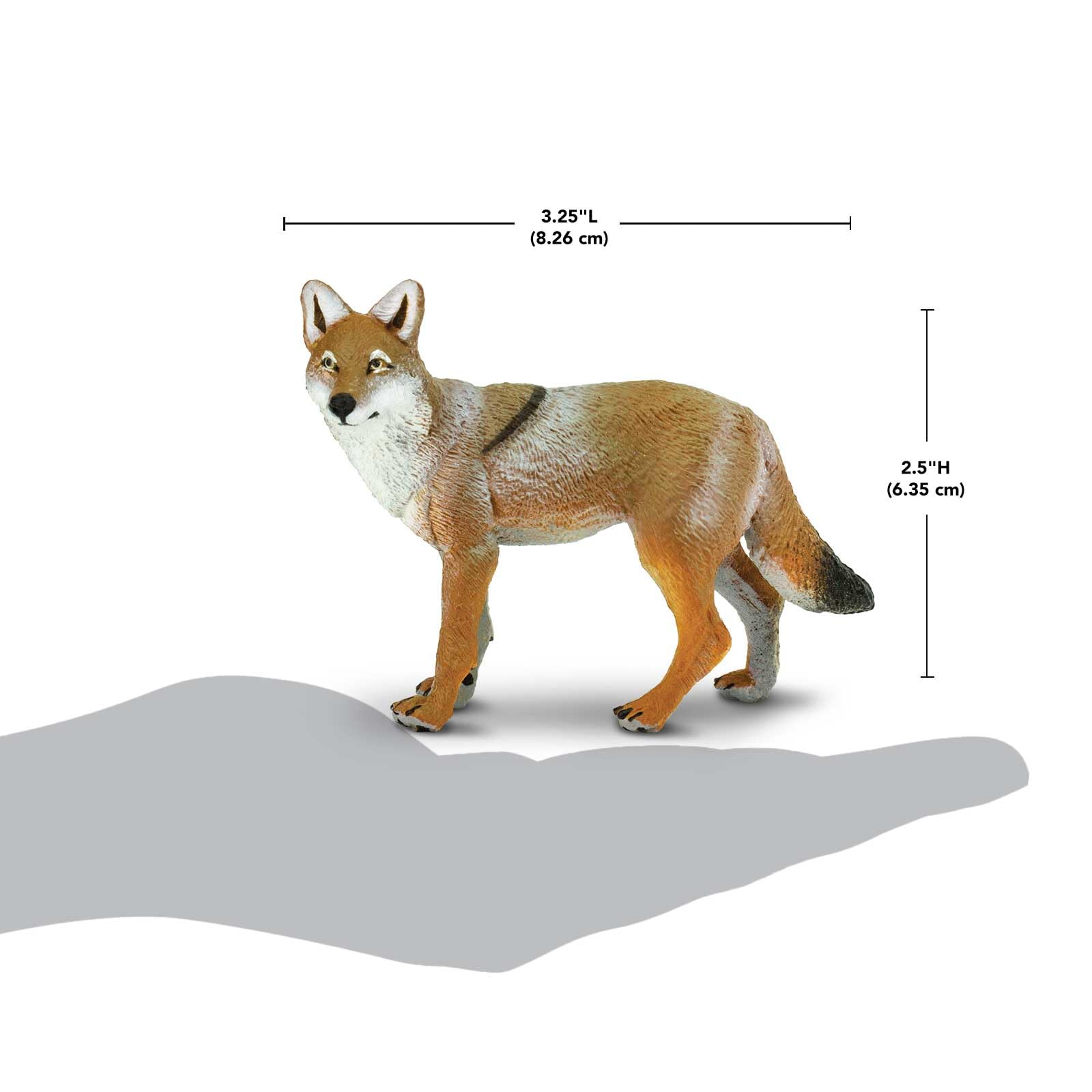 Safari Ltd. Coyote Figurine - Lifelike 3.75" Model Figure - Educational Toy for Boys, Girls, and Kids Ages 1+