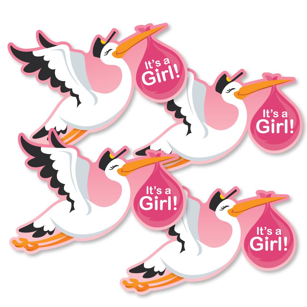 Big Dot of Happiness Girl Special Delivery - Decorations DIY Pink It's A Girl Stork Baby Shower Party Essentials - Set of 20