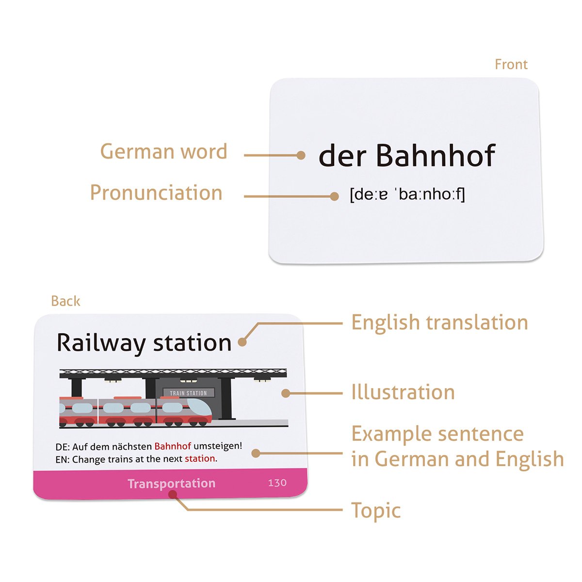 CARDDIA | German Vocabulary Educational Flashcards for Beginners | Pictures, Example Sentences