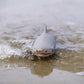 Safari Ltd. Bull Shark Figurine - Realistic 5.75" Hand-Painted Aquatic Figure - Educational Toy For Boys, Girls & Kids Ages 3+