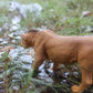 Safari Ltd. Adolescent Male Lion - Detailed 6" Wildlife Figurine - Educational Toy for Boys, Girls, and Kids Ages 3+