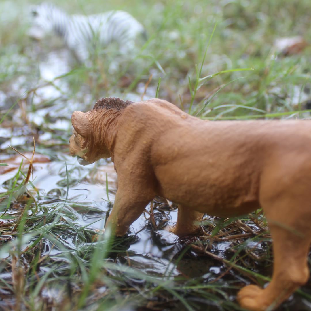 Safari Ltd. Adolescent Male Lion - Detailed 6" Wildlife Figurine - Educational Toy for Boys, Girls, and Kids Ages 3+