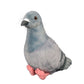 TUKVESZE Gray Pigeon Stuffed Animal, Soft Pigeon Plush Toy, Bird Stuffed Toys Pigeon Doll Birthday Decor Gift
