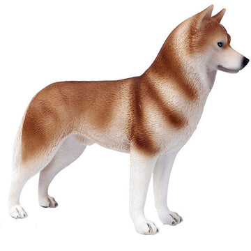 FLORMOON Animals Figure - Realistic Orange Husky Dog Figurines - Early Educational Toys Science Project Christmas Birthday for Boys and Girls