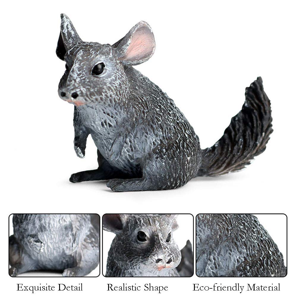 FLORMOON Realistic Animal Figures Chinchilla Lanigera Figurines, Science Project, Cake Topper, Early Educational Toys Birthday for Toddlers Kids Age 3