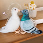 Pigeon Plush Toy - Simulation Rock Columba Rupestris Stuffed Animal, Cute Rock Pigeon Plush Toy as Gift for Your Friends Kids Birthday Christmas