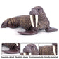 JOKFEICE Walrus Figures - Realistic Animal Figures Pretend Play Toy - Learning Educational Toy Christmas Birthday Gift Cake Topper Teacher Rewards