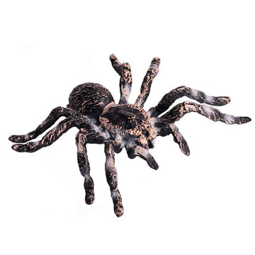 FLORMOON Realistic Animal Figures - Spider Action Model Lifelike Insect Toy Figures - Educational Learning Toys Birthday Set for Boys Girls Kids