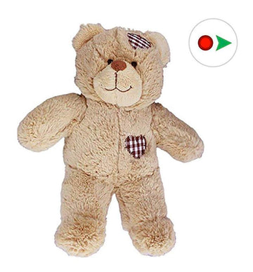 Stuffems Toy Shop Record Your Own Plush 8 inch Brown Patches Teddy Bear - Ready 2 Love in a Few Easy Steps