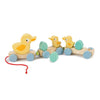 Tender Leaf Toys - Pull Along Ducks - Classic Wooden Pull Along Toy - 9pc Duck Family Set with 1 Mother Duck, 2 Baby Ducks, 3 Eggs and 3 Cars