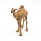 Papo - Realistic Dromedary Figure - Ages 3+ - Wild Life Collection - Educational Play Desert Animals - Gift Idea Toy for Girls and Boys