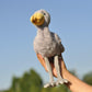 TAMMYFLYFLY Lifelike Shoebill Plush Stuffed Animal Toy Bird Cute Animal Model