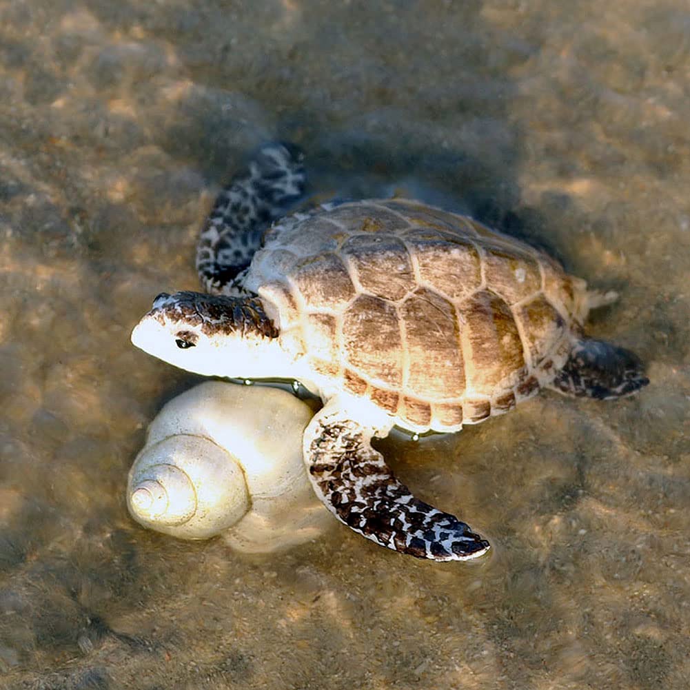 BLAPNK 2 Pcs Realistic Ocean Turtle Model Toys, Simulated Sea Life Turtle Animals Figurine Collection Playset Sea Creature Science Educational Props