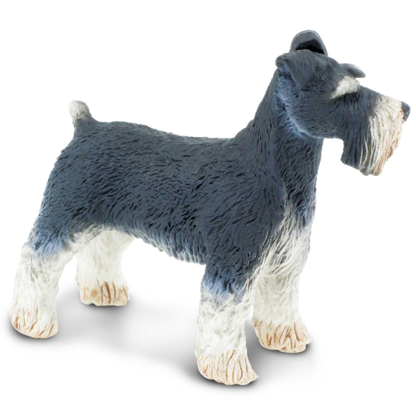 Safari Ltd. Schnauzer Figurine - Detailed 3" Plastic Model Figure - Fun Educational Play Toy for Boys, Girls & Kids Ages 3+