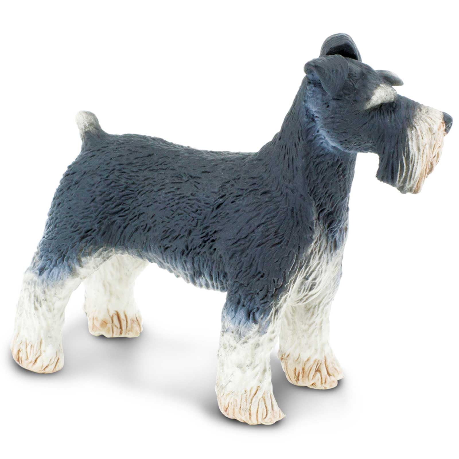 Safari Ltd. Schnauzer Figurine - Detailed 3" Plastic Model Figure - Fun Educational Play Toy for Boys, Girls & Kids Ages 3+