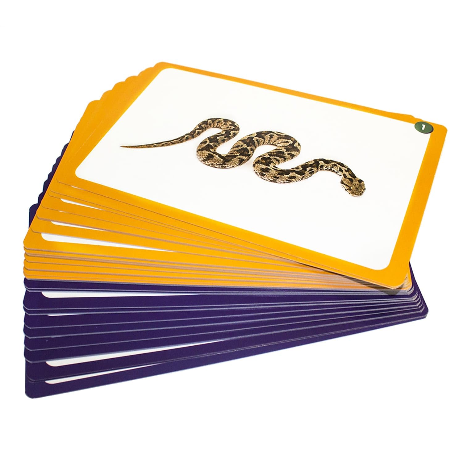 Junior Learning 44 Sound Cards