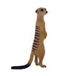 MOJO Meerkat Toy Figure