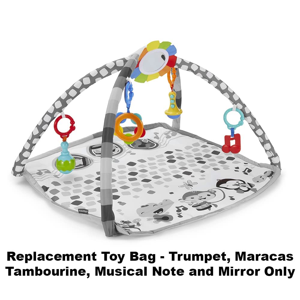 Replacement Toys for Fisher-Price Baby's Bandstand Play Gym - DFP69 ~ Replacement Trumpet, Maracas, Tambourine, Musical Note and Mirror