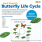 Learning Resources Giant Magnetic Butterfly Life Cycle - Write-and-Wipe Teaching Aids and STEM Decor, Butterfly Life Cycle Models, Dry Erase