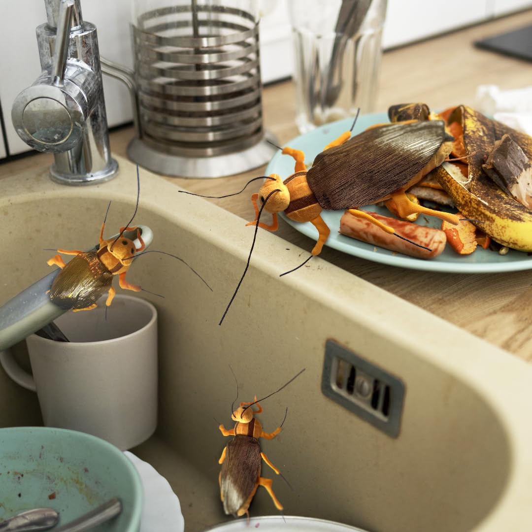 GIANTmicrobes Cockroach Plush - Learn About This Common Crawler with This Cuddly Plush, Unique Gift for Friends, Family, Educators, Students,
