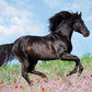 Ravensburger Beautiful Horse 200 Piece Jigsaw Puzzle for Kids - Every Piece is Unique, Pieces Fit Together Perfectly