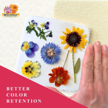 Microfleur Microwave Flower Drying Press Refill Pack - Regular Floral Drying and Pressing, Decorative DIY Art and Craft Making for Plant Lovers