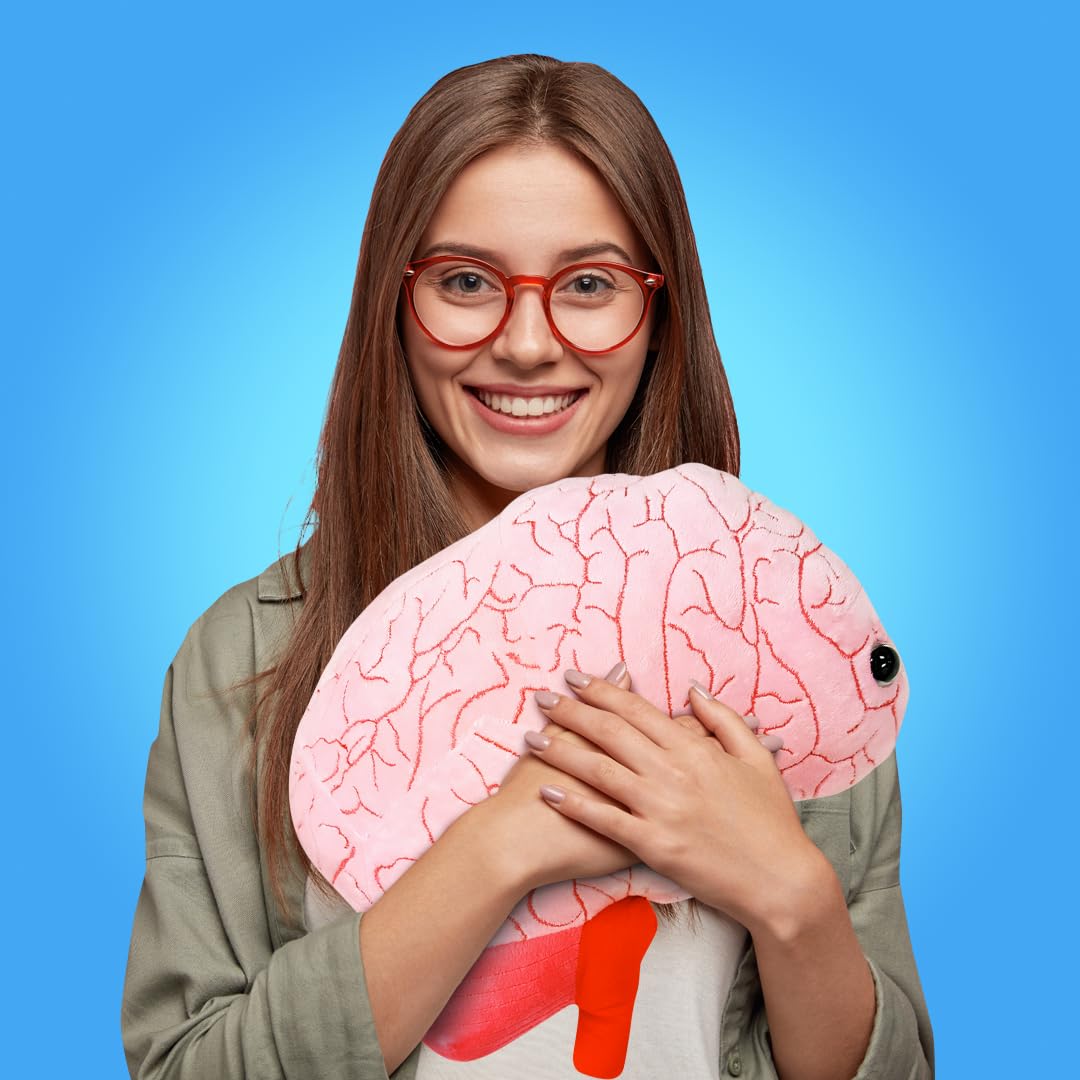 GIANT MICROBES Gigantic 17" Brain Organ Plush, Gift for Med Student, Gifts for Neurologist, Brain Surgery Recovery, TBI Awareness, Neurology Gifts