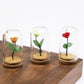 1/6 Dollhouse Miniature Rose with Glass Dome, Faux Flowers, Mini Rose Flowers, Miniature Valentine's Gift, for Dollhouse Miniatures Fairy Garden