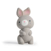 Sylvi Natural Rubber Baby Teether Toy, Rabbit Teething Toy for Sore Gums 0-6 Months, Soft Sensory Chew Toy Easy to Grasp for Infants 0+ Months, Gender