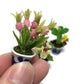 3pc Flower Clay Miniature Dollhouse Fairy Garden Mini Plant Trees Ceramic Paint Furniture Bundles Artificial Flowers Orchid #061