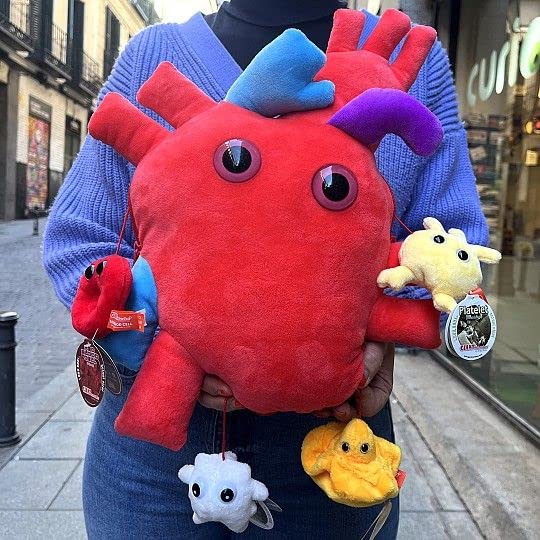 GIANT MICROBES Deluxe 15” Heart Plush, Biology Stuffed Animal, Organ Transplant Gifts, Anatomical Heart, Cardiac Nurse Gift, Cardiology Gift, Surgery