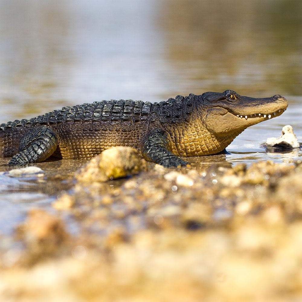 Safari Ltd. Alligator Figurine - Detailed 10.5" Plastic Gator Figure - Fun Educational Play Toy for Boys, Girls and Kids Ages 1+