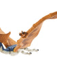 Mattel Jurassic World The Lost World: Jurassic Park Hammond Collection Dinosaur Action Figure, Geosternbergia Dino Toy, Articulation & Posable Wings