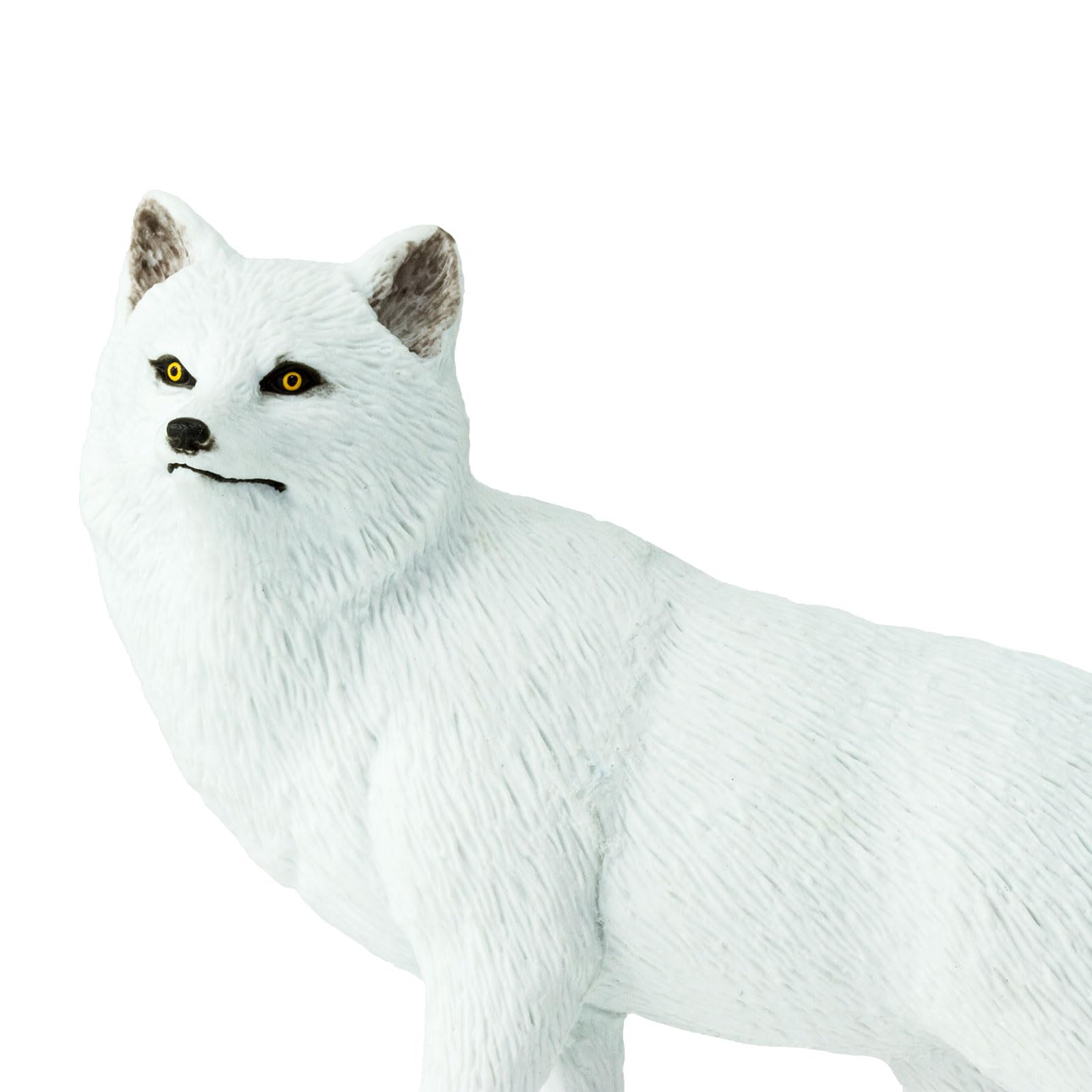 Safari Ltd. Arctic Fox Figurine - Detailed 5.25" Plastic Model Figure - Fun Educational Play Toy for Boys, Girls & Kids Ages 3+