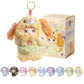 REIVIVORA Nommi V5 Puppy Diary Series Plush Blind Box 1PC (1 of 9 Possible Styles) Cute Figures Collectible Toys Birthday Gifts