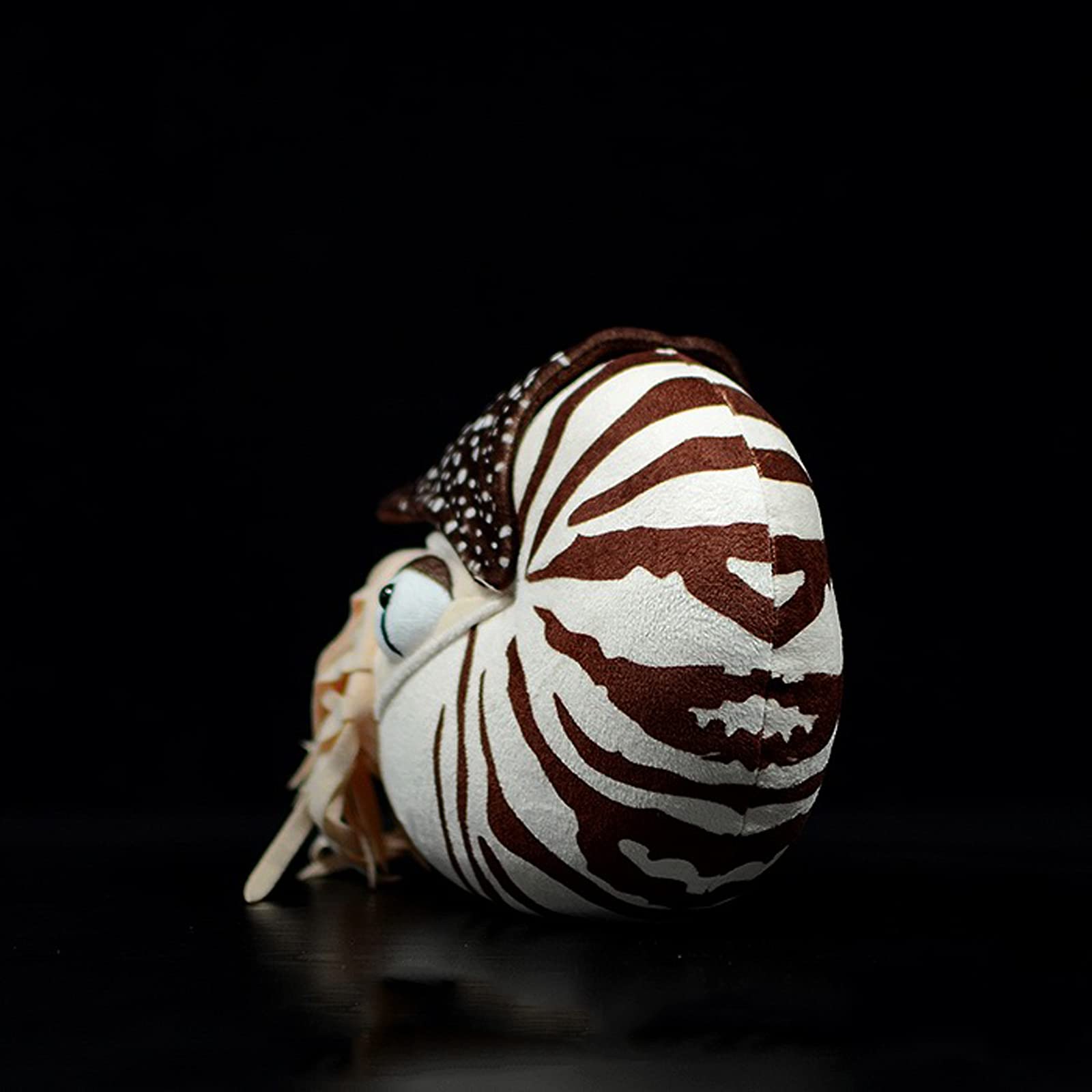 Nautilus Stuffed Animal, Realistic Nautilus Plush Toy, Lifelike 8 Inch Nautilus Toy, Stuffed Cuddly Soft Sea Creatures Nautilus Model Plush Toy, Gift