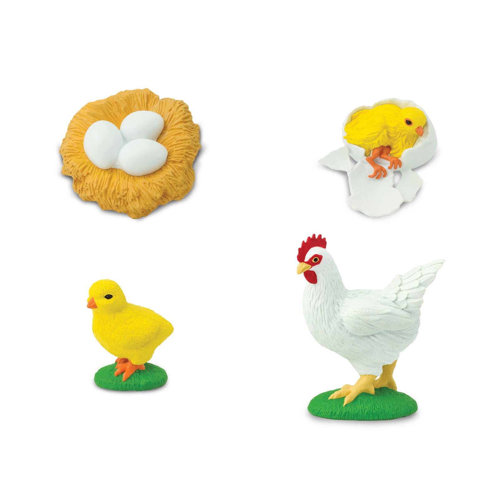 Safari Ltd. Life Cycle of a Chicken - Realistic Educational Toy Figurines - Miniature Poultry Lifecycle Collection for Boys, Girls & Kids Age 4+