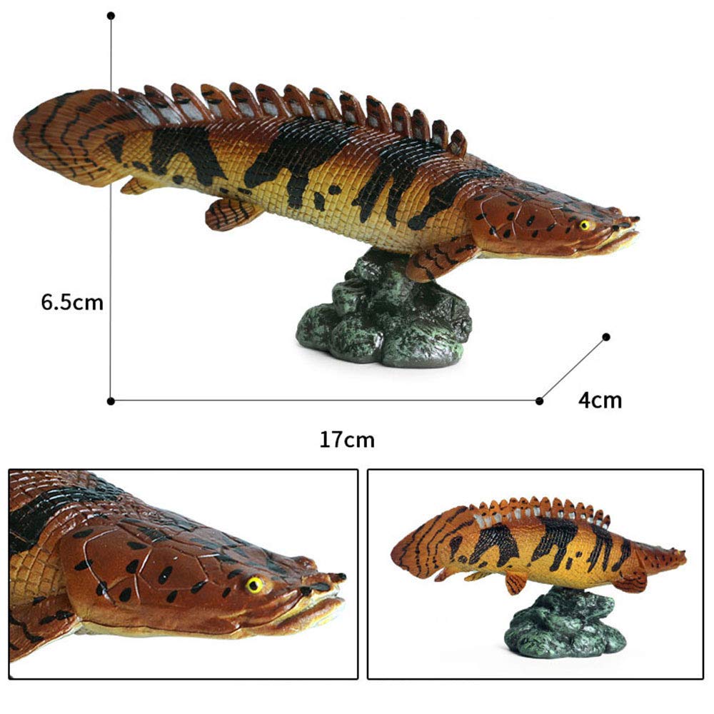 FLORMOON Animal Figures Realistic Polypterus Delhezi Plastic Early Educational Toys Cupcake Topper Party Gift for Kids 2+ Year Old(Including Base)