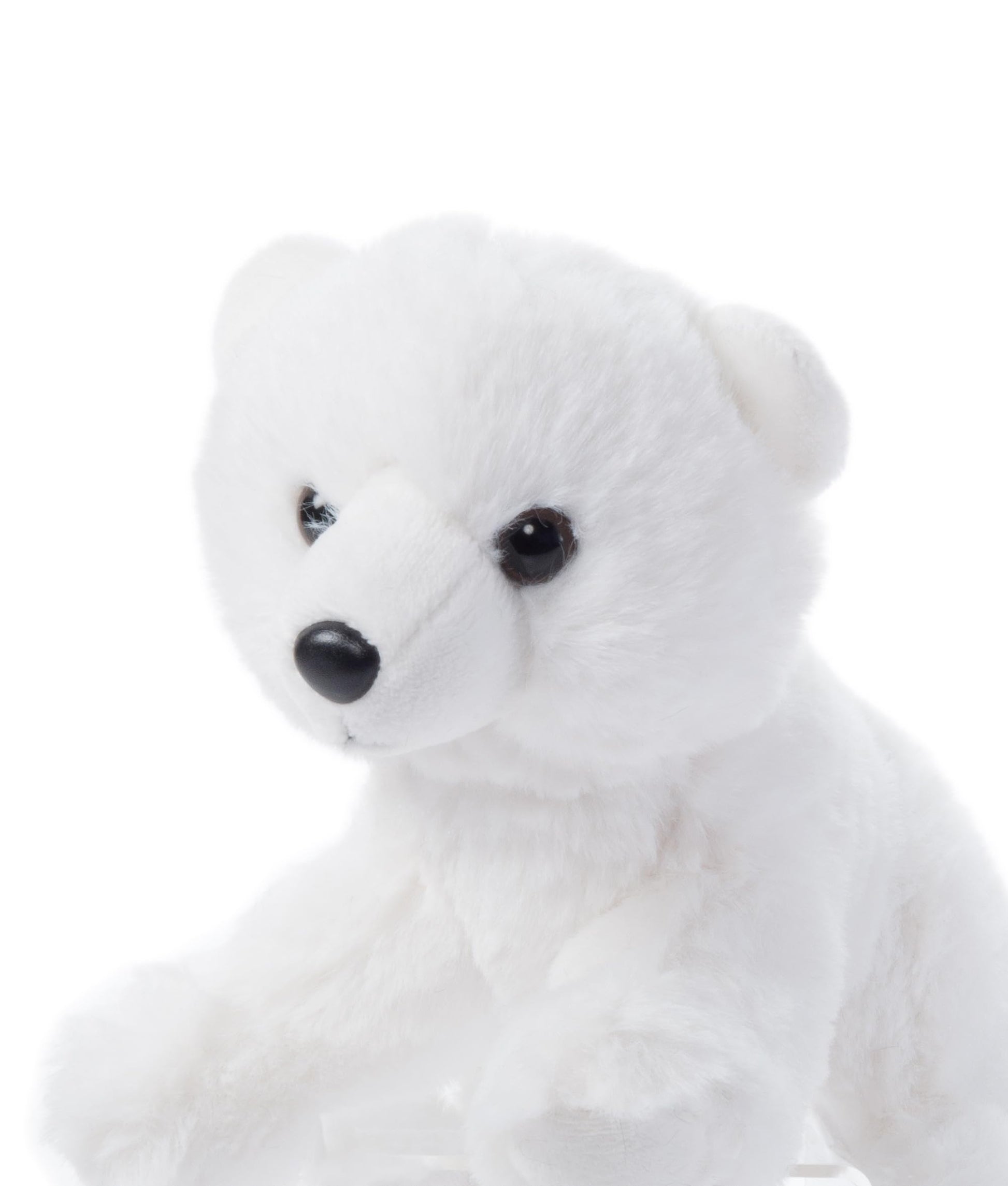 The Petting Zoo Polar Bear Stuffed Animal Plushie, Gifts for Kids, Wild Onez Babiez Zoo Animals, Polar Bear Plush Toy 6 inches