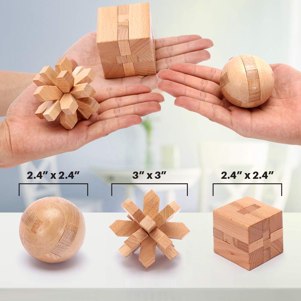 LESONG Brain Teasers Metal and Wooden Puzzles for Kids and Adults 9 Pack, Mind, IQ, and Logic Test and Handheld Disentanglement Games, 3D Coil Cast