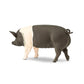 Safari Ltd. Hampshire Pig Figurine - Lifelike 4.25" Model Figure - Educational Toy for Boys, Girls, and Kids Ages 3+