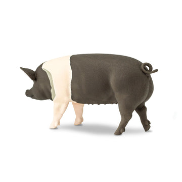 Safari Ltd. Hampshire Pig Figurine - Lifelike 4.25" Model Figure - Educational Toy for Boys, Girls, and Kids Ages 3+