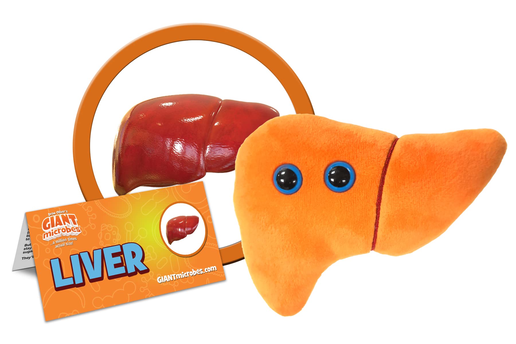 GIANT MICROBES Stuffed Liver Plush, Anatomy Model, Hepatologist Gift, Liver Transplant Gifts, Hepatitis, Hepatology, Cirrhosis Gift, Organ Donor