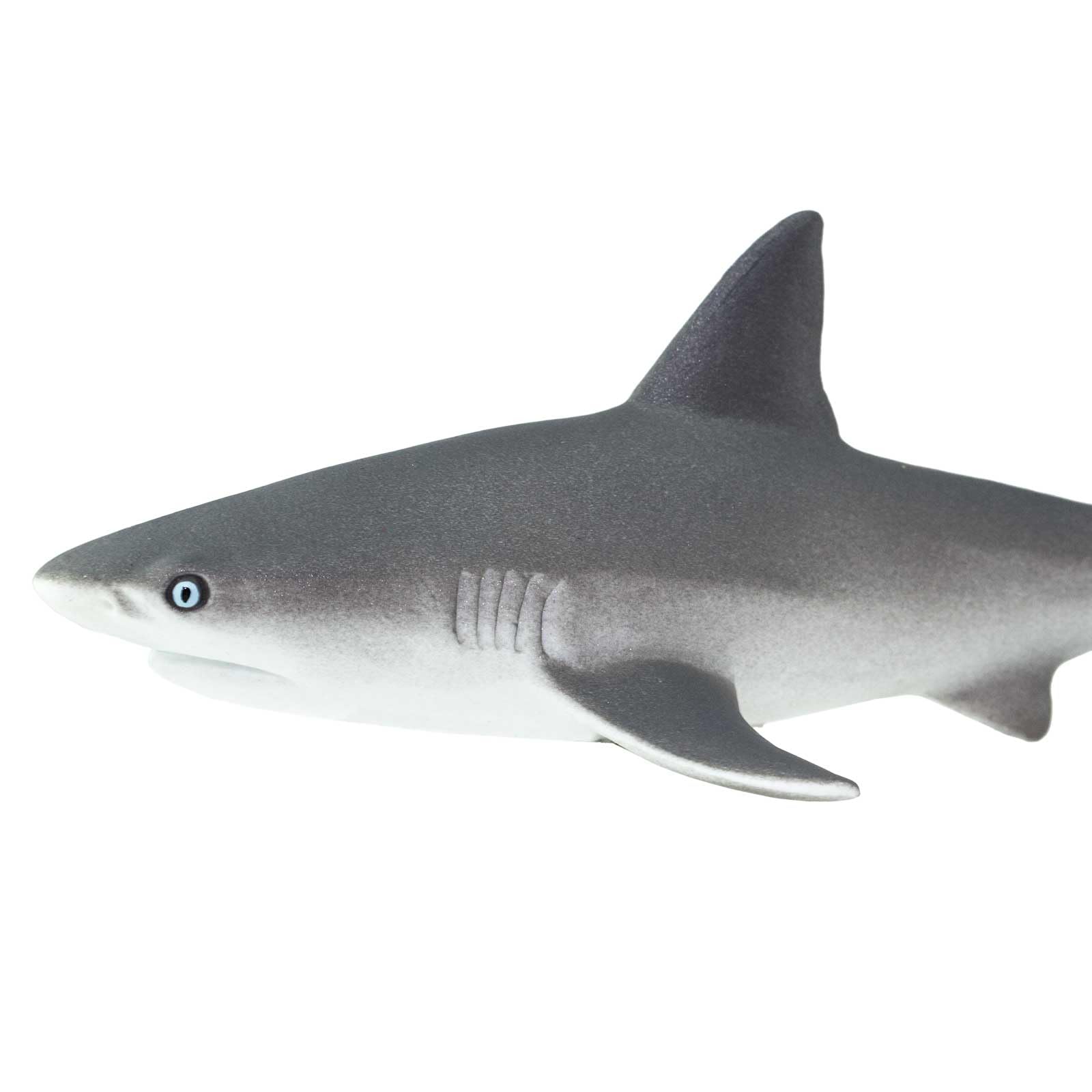 Safari Ltd. Gray Reef Shark Figurine - Detailed 6.25" Plastic Model Figure - Fun Educational Sea Life Play Toy for Boys, Girls & Kids Ages 3+