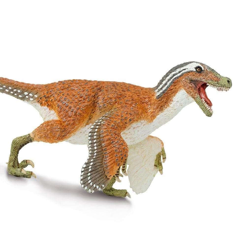 Safari Ltd. Feathered Velociraptor Dinosaur Toy - Realistic 8.5" Plastic Raptor Figure - Dinosaur Toys for Kids 3-5, Boys and Girls
