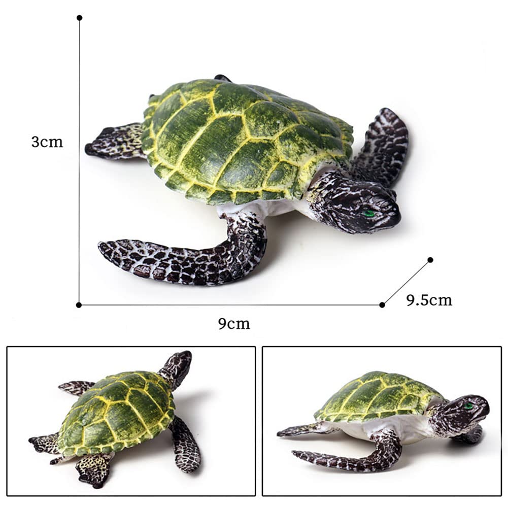 BLAPNK 2 Pcs Realistic Ocean Turtle Model Toys, Simulated Sea Life Turtle Animals Figurine Collection Playset Sea Creature Science Educational Props