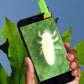 SmartLab Toys Outdoor Science Lab Bugs, Dirt, & Plants with 24 Hands On Nature Activities Science Kit.